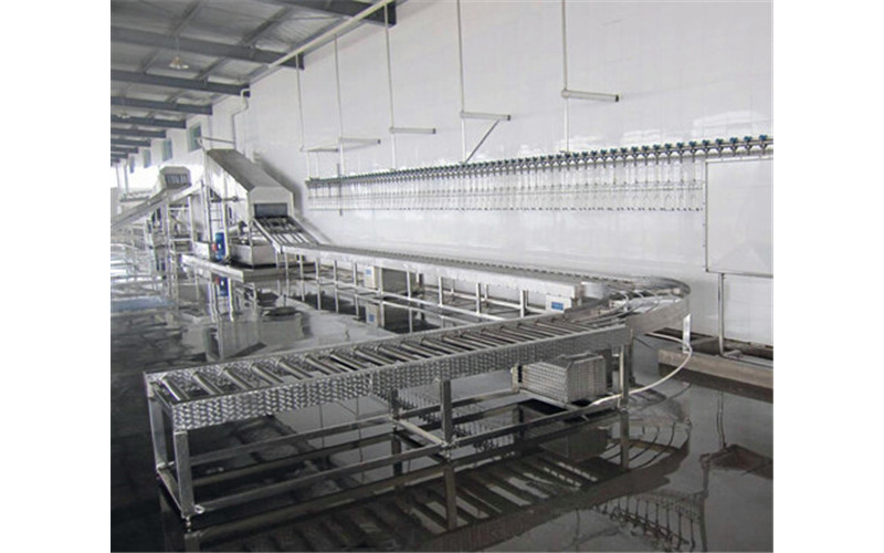 家禽屠宰流水線