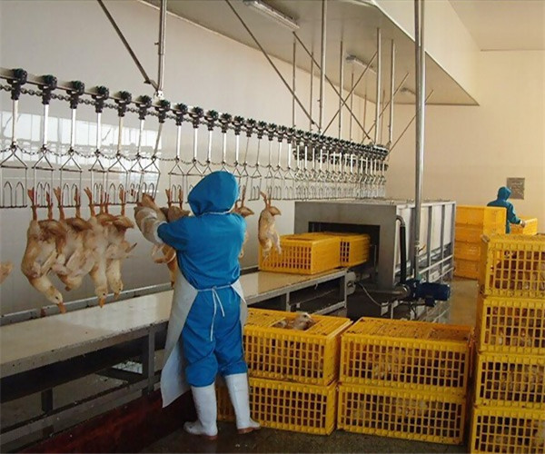 屠宰設(shè)備對(duì)肉類(lèi)食品有什么影響？